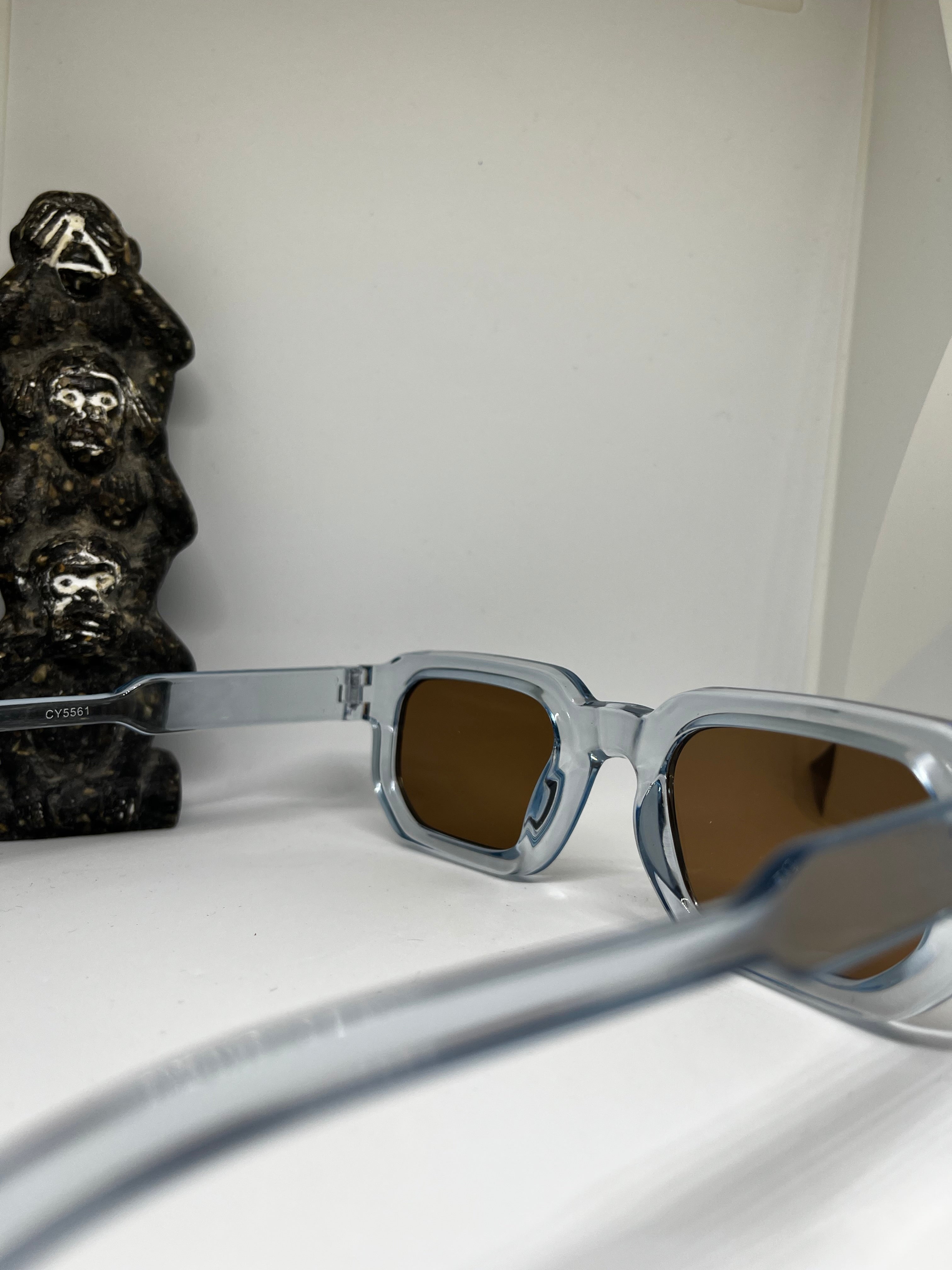 Lunettes Soleil Rétro Carrées transparente Verres marron| Style Vintage